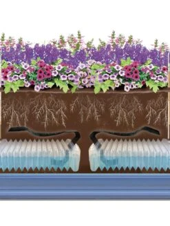 Adjustable Self-Watering Insert For Pots And Planters -Backyard Bloomers 8610250 SWInsert art Trough tif