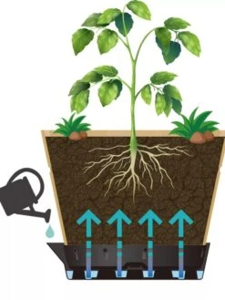 VegTrug® Build-a-Barrel Wooden Planter With Self-Watering Reservoir Tray, 18" 11 VegTrug® Build-a-Barrel Wooden Planter With Self-Watering Reservoir Tray, 18" -Backyard Bloomers 8610253 05V tif