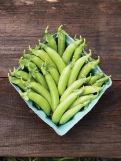 Family Garden Organic Seed Collection, Set Of 7 11 Family Garden Organic Seed Collection, Set Of 7 -Backyard Bloomers 8610262 cascadia peas 01V tif