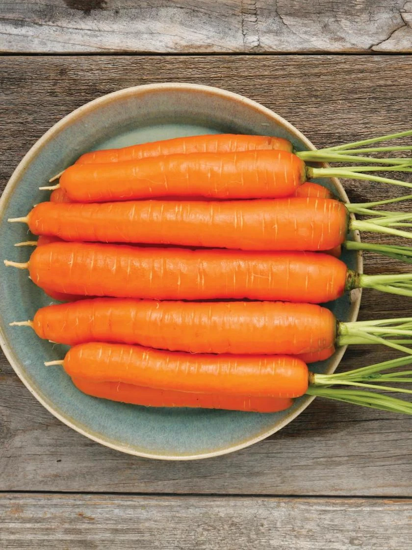 Family Garden Organic Seed Collection, Set Of 7 4 Family Garden Organic Seed Collection, Set Of 7 - Image 2