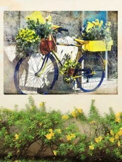 Blue And Yellow Bike Outdoor Wall Art, 5 Blue And Yellow Bike Outdoor Wall Art, -Backyard Bloomers 8610268 02v