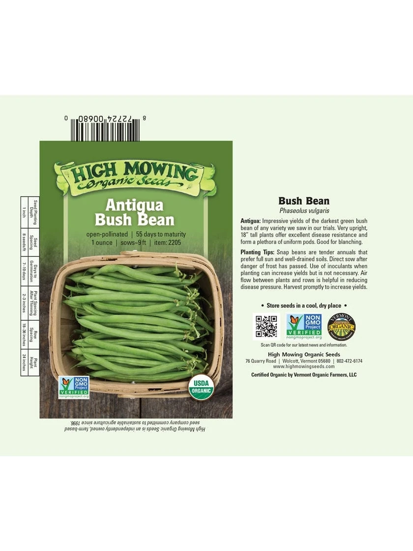 Antigua Bush Bean Organic Seeds 4 Antigua Bush Bean Organic Seeds - Image 2