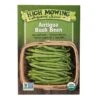 Antigua Bush Bean Organic Seeds -Backyard Bloomers 8610283 9987 antigua bush bean organic seeds