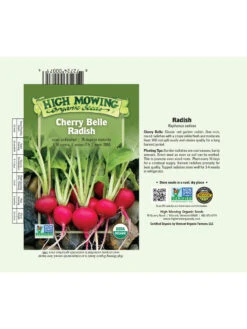 Cherry Belle Radish Organic Seeds -Backyard Bloomers 8610352 01v