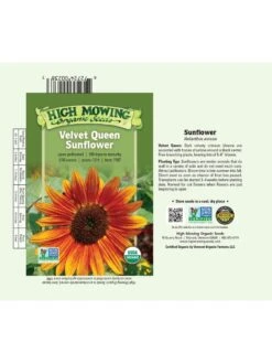 Velvet Queen Sunflower Organic Seeds 6 Velvet Queen Sunflower Organic Seeds -Backyard Bloomers 8610362 01v