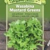 Wasabina Mustard Greens Organic Seeds 1 Wasabina Mustard Greens Organic Seeds -Backyard Bloomers 8610363 01v wasabina mustard greens organic seeds
