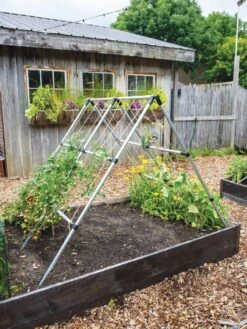 Connector Kit For DIY A Frame Plant Support -Backyard Bloomers 8610366 0783