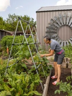 Connector Kit For DIY A Frame Plant Support -Backyard Bloomers 8610366 7584 tif