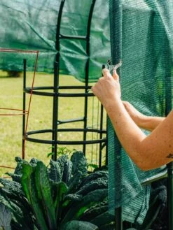 Maxi Garden Hoops With Clips -Backyard Bloomers 8610372 368 tif