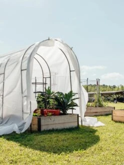 Maxi Garden Quilt -Backyard Bloomers 8610373 373 tif