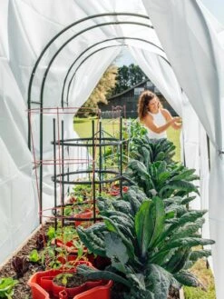 Maxi Garden Hoops With Clips -Backyard Bloomers 8610373 377 tif