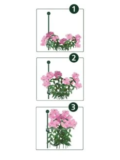 New Release -Backyard Bloomers 8610383 07v