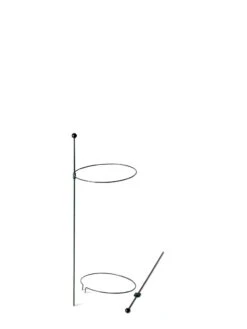 Peacock Mini Plant Support Rings 8", Set Of 2 -Backyard Bloomers 8610387 9571 tif