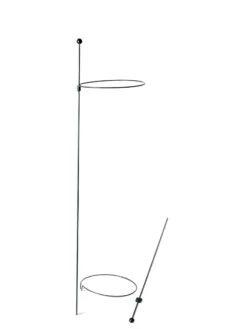 Peacock Mini Plant Support Rings 8", Set Of 2 -Backyard Bloomers 8610388 9565 tif