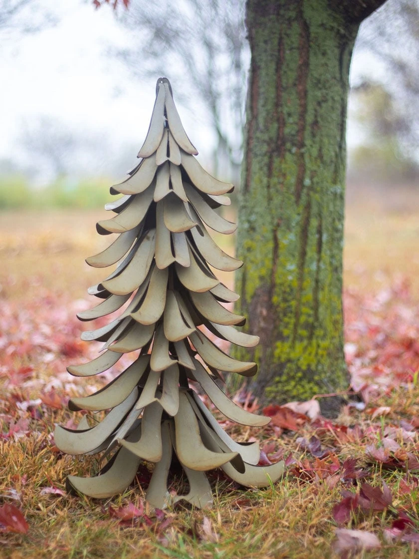 Desert Steel Blue Atlas Cedar 3 Desert Steel Blue Atlas Cedar