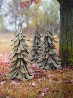 Desert Steel Blue Atlas Cedar 15 Desert Steel Blue Atlas Cedar -Backyard Bloomers 8610550 07v