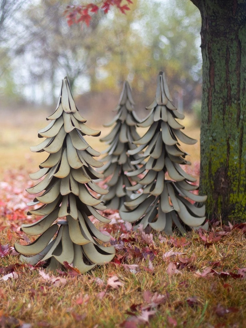 Desert Steel Blue Atlas Cedar 6 Desert Steel Blue Atlas Cedar - Image 4