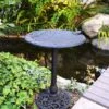 English Ivy Birdbath -Backyard Bloomers 8610555 01v english ivy birdbath