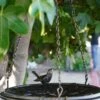Floral Motif Hanging Birdbath -Backyard Bloomers 8610562 02v twin bird floral hanging birdbath