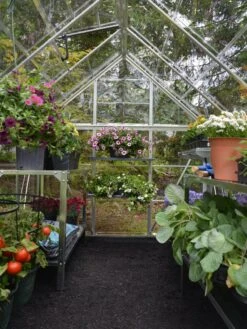 Canopia® By Palram Harmony™ Greenhouse, 6' X 14' -Backyard Bloomers 8610563 03V jpg