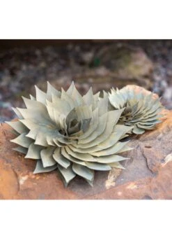 Desert Steel Spiral Aloe Sculpture -Backyard Bloomers 8610749 03v