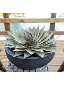 Desert Steel Spiral Aloe Sculpture -Backyard Bloomers 8610750 02v