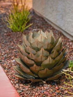 Desert Steel Artichoke Agave Sculpture -Backyard Bloomers 8610761 042v