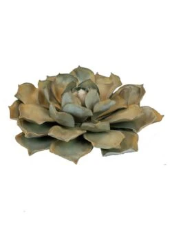 Desert Steel Blue Rose Succulent Sculpture -Backyard Bloomers 8610763 01v desert steel blue rose succulent small
