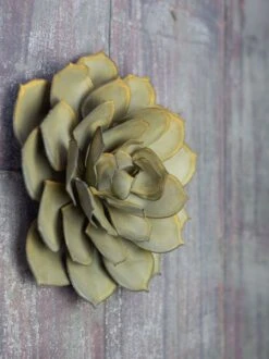 Desert Steel Blue Rose Succulent Sculpture -Backyard Bloomers 8610764 02v