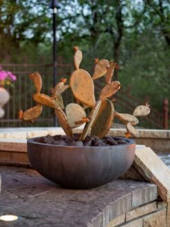 Desert Steel Prickly Pear Cactus Sculpture, Redondo -Backyard Bloomers 8610768 03v