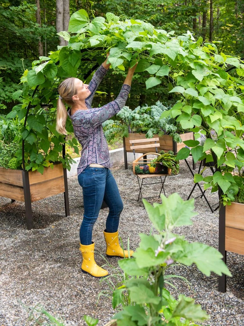 2’ X 8’ Arch Trellis For Planter Boxes 7 2’ X 8’ Arch Trellis For Planter Boxes - Image 5