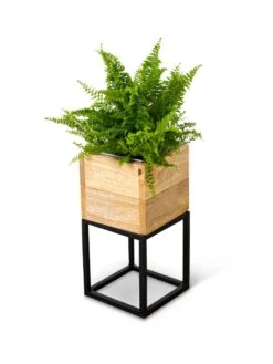 Tartu Elevated Square Planters 19 Tartu Elevated Square Planters -Backyard Bloomers 8611004 038