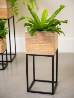 Tartu Elevated Square Planters 15 Tartu Elevated Square Planters -Backyard Bloomers 8611005 035