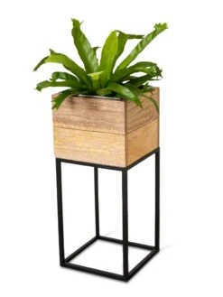 Tartu Elevated Square Planters 20 Tartu Elevated Square Planters -Backyard Bloomers 8611005 036