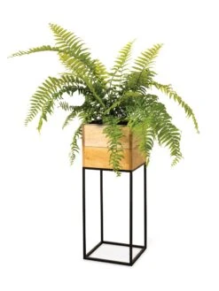 Tartu Elevated Square Planters 18 Tartu Elevated Square Planters -Backyard Bloomers 8611006 033