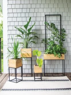 Tartu Elevated Square Planters 17 Tartu Elevated Square Planters -Backyard Bloomers 8611007 022