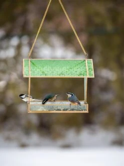 Glass Hut Bird Feeder -Backyard Bloomers 8611011 062