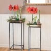 Square Nesting Plant Stands With Trays, Set Of 2 -Backyard Bloomers 8611014 3660 tif