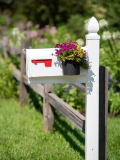 Mailbox Planter 8 Mailbox Planter -Backyard Bloomers 8611026 014 tif