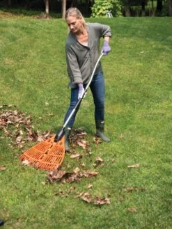 Magic Fly® Leaf Rake -Backyard Bloomers 8611047 027 tif