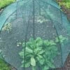 GardenSkill Pop N Crop Plant Umbrella -Backyard Bloomers 8611105 01V tif