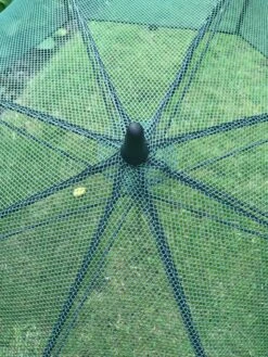 GardenSkill Pop N Crop Plant Umbrella -Backyard Bloomers 8611105 07V tif