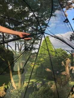 GardenSkill Pop N Crop Plant Umbrella -Backyard Bloomers 8611105 09V tif