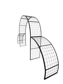 Gateway Arch -Backyard Bloomers 8611106 6001 tif