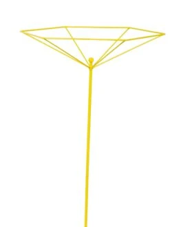 Parasol Plant Supports, Set Of 3 16 Parasol Plant Supports, Set Of 3 -Backyard Bloomers 8611129 3844 tif