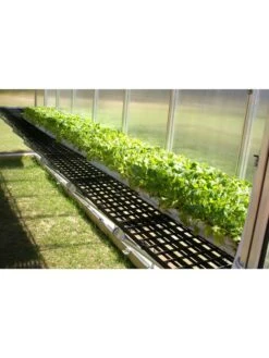 MONT Greenhouse Work Bench System, 8' X 12' -Backyard Bloomers 8611204 03v 2