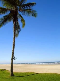 MAXSA® Solar-Powered LED Flag Light -Backyard Bloomers 8611318 02v