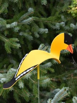 Florida Dancing Birds®, Songbirds 9 Florida Dancing Birds®, Songbirds -Backyard Bloomers 8611629 04v