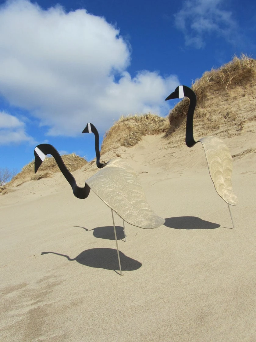 Florida Dancing Birds®, Canada Goose 3 Florida Dancing Birds®, Canada Goose