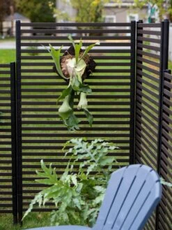 Randolph Privacy Screens 9 Randolph Privacy Screens -Backyard Bloomers 8611666 008 tif